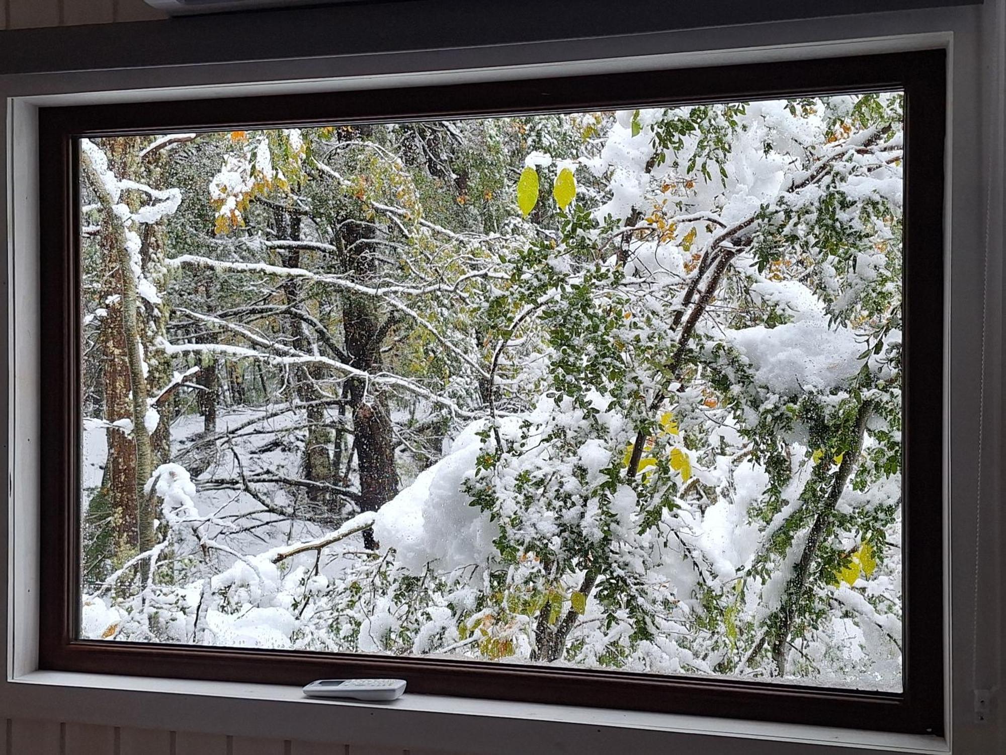 Casaverde Hostal Ecologico Malalcahuello Exteriör bild